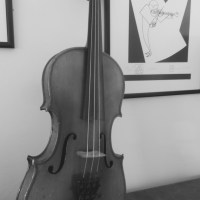 51 Violin
