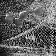 110B Fish net